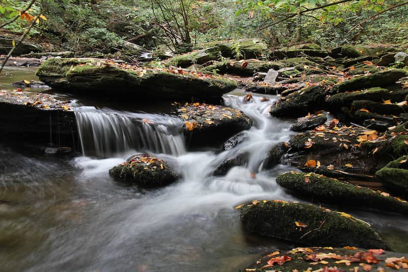 tellico plains tennessee