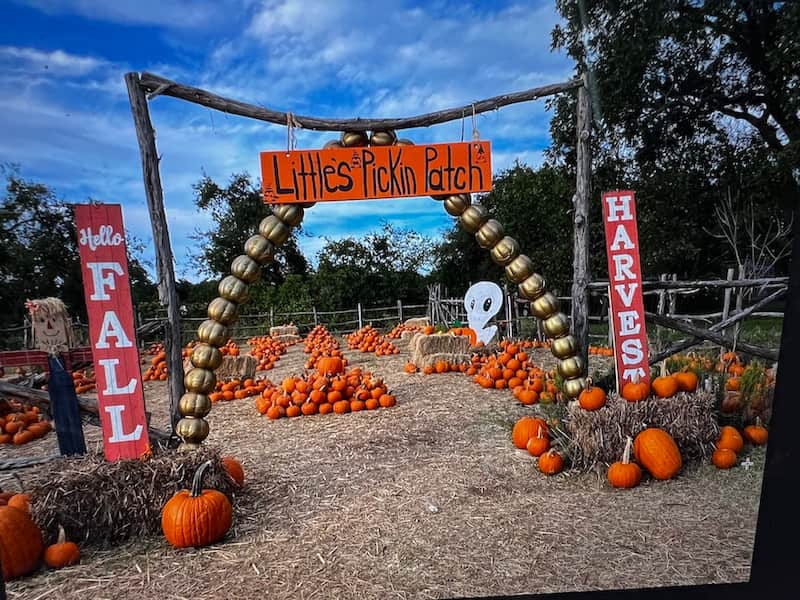 Evergreen Farms Elgin MEJORES GRANJAS CALABAZAS TEXAS