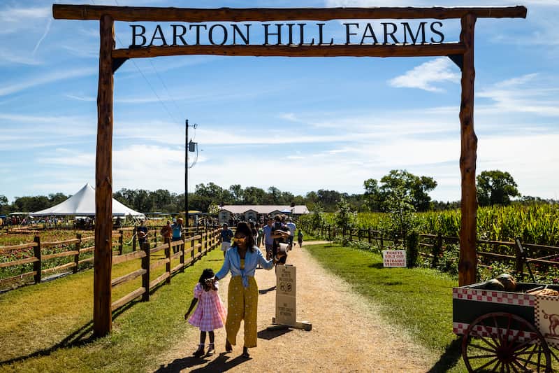 Las 8 mejores GRANJAS de CALABAZA en TEXAS Barton Hill Farms Bastrop