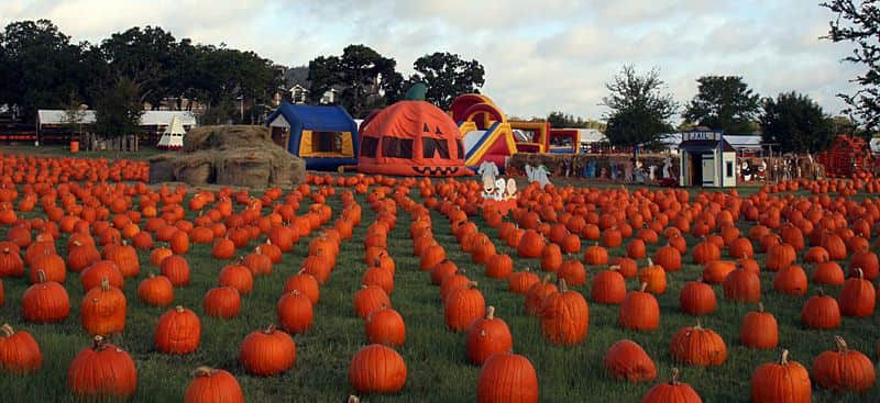 Las 8 mejores GRANJAS de CALABAZA en TEXAS Flower Mound Pumpkin Patch