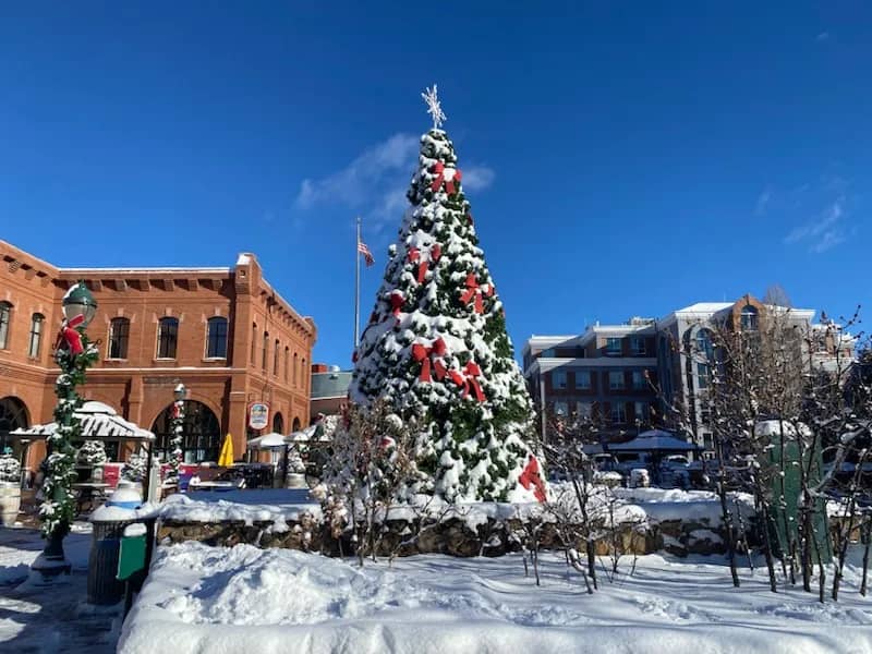 Flagstaff arionza navidad