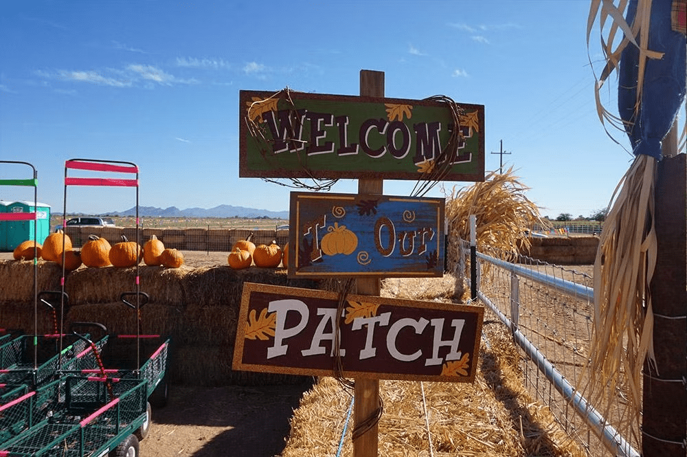 8 HUERTOS de CALABAZA en ARIZONA que vale la pena visitar este otoño 5 image 4