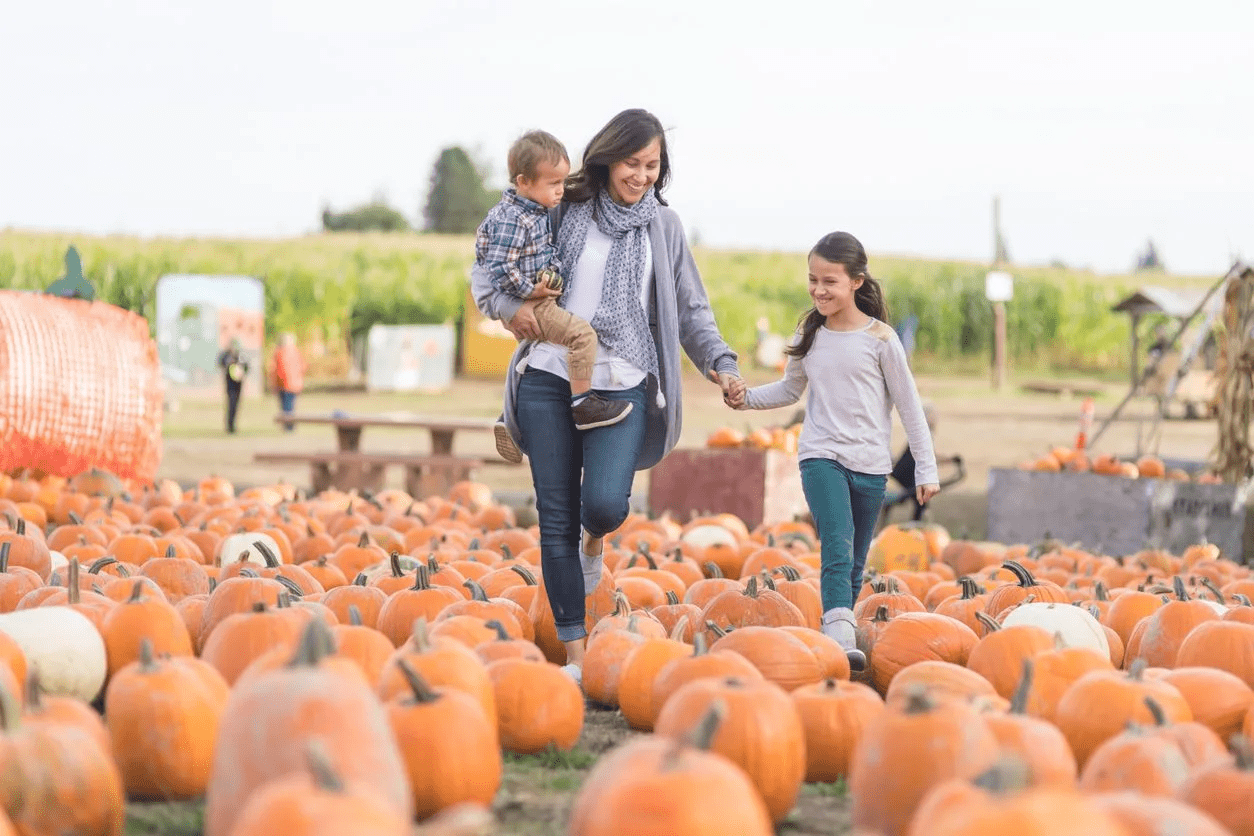 8 HUERTOS de CALABAZA en ARIZONA que vale la pena visitar este otoño 7 image 6
