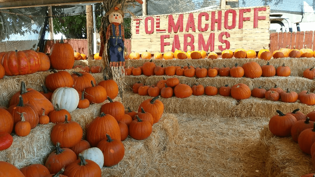 8 HUERTOS de CALABAZA en ARIZONA que vale la pena visitar este otoño 8 image 7