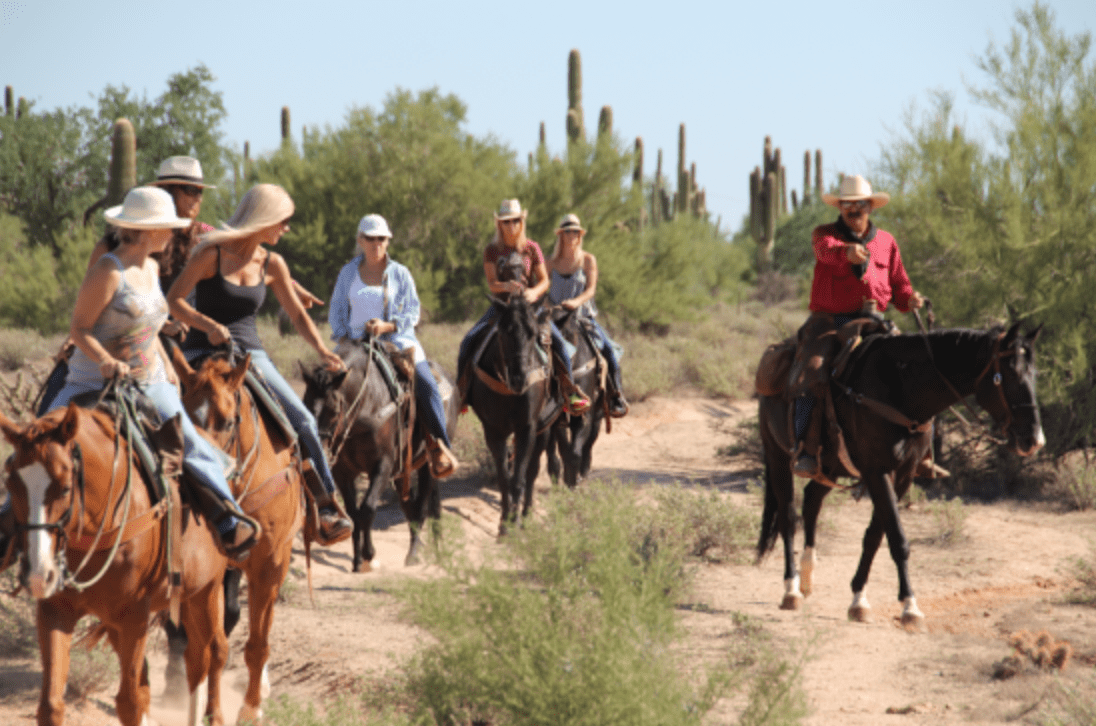8 HUERTOS de CALABAZA en ARIZONA que vale la pena visitar este otoño 1 image