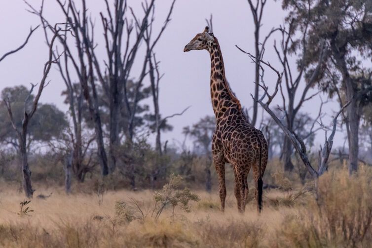 16 mejores atracciones turísticas en Namibia (+mapa) 3