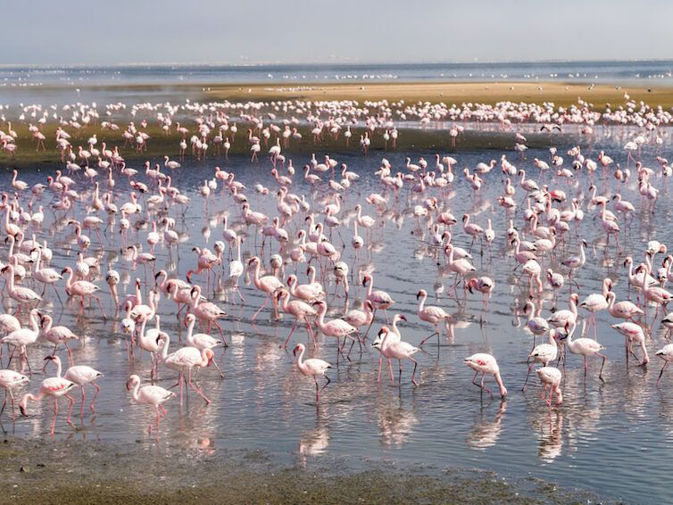 16 mejores atracciones turísticas en Namibia (+mapa) 25